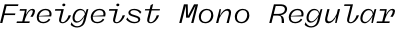 Freigeist Mono Regular Italic